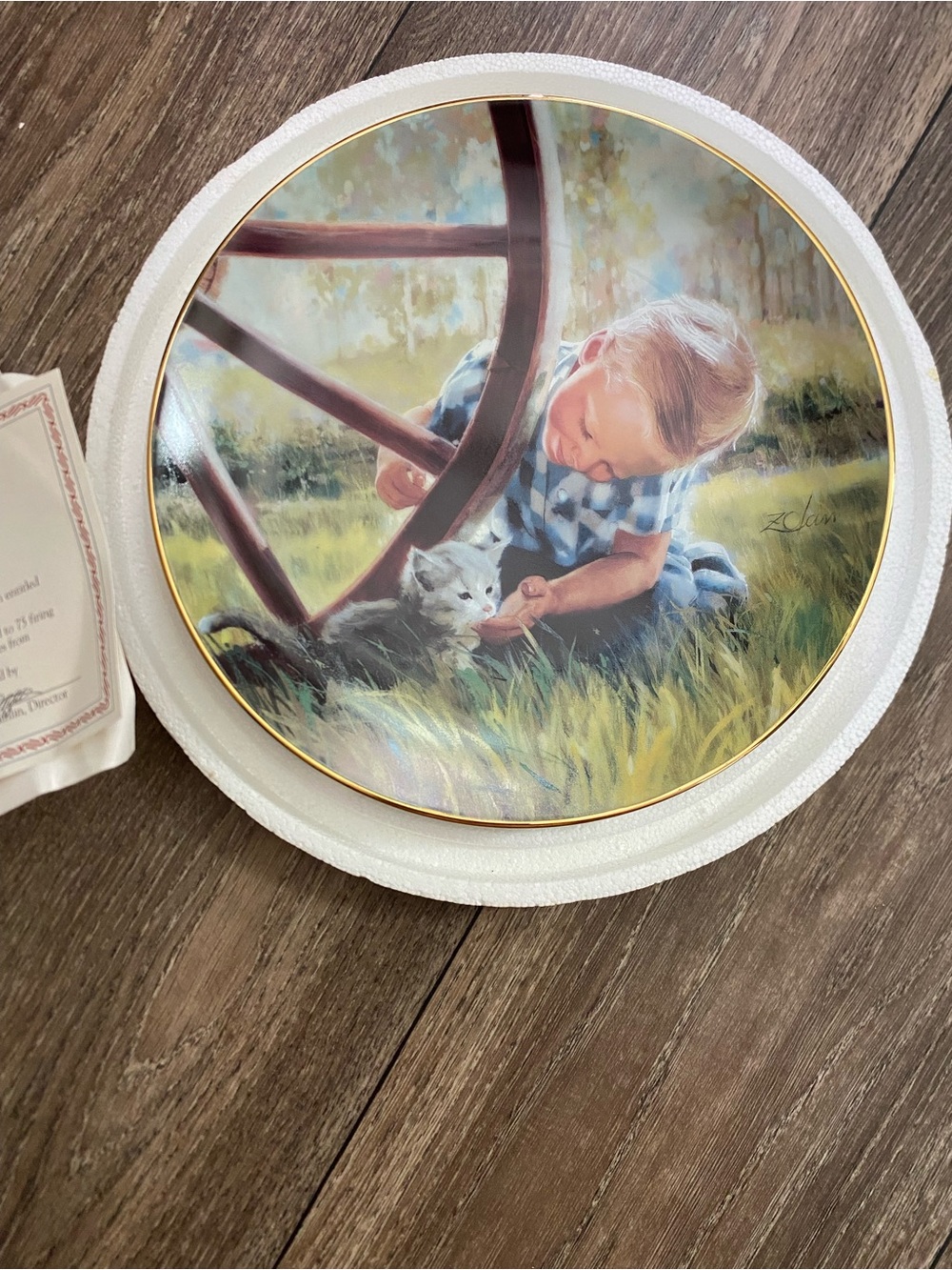 Collector Plate Featuring Boy and Kitten - Country Kitten